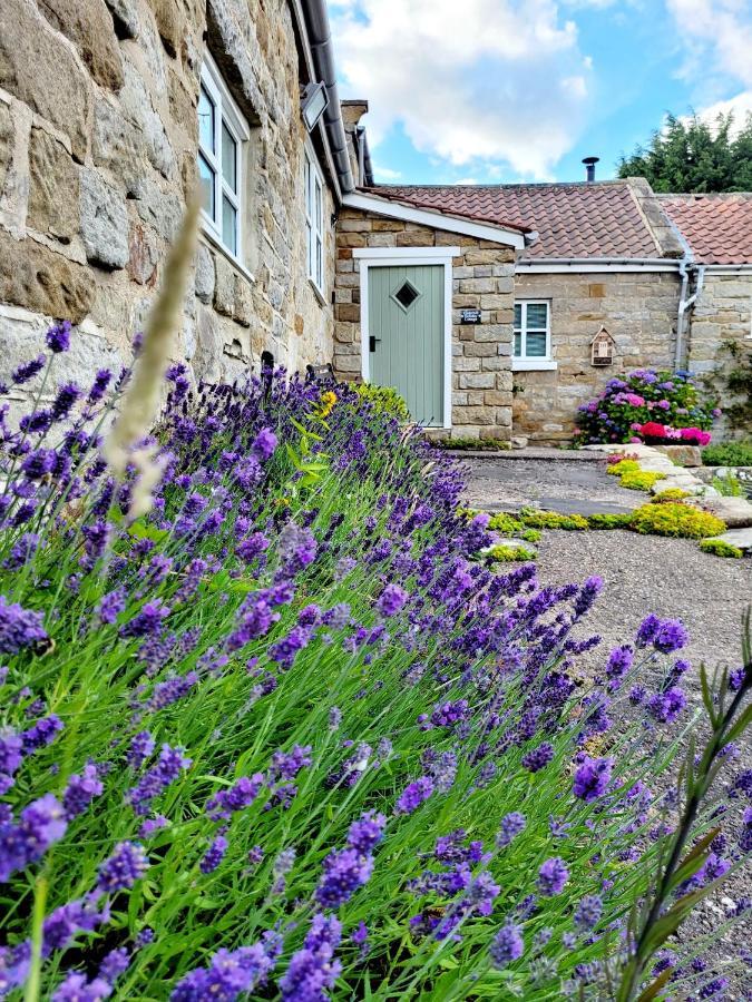 Underhill Holiday Cottage Whitby Extérieur photo